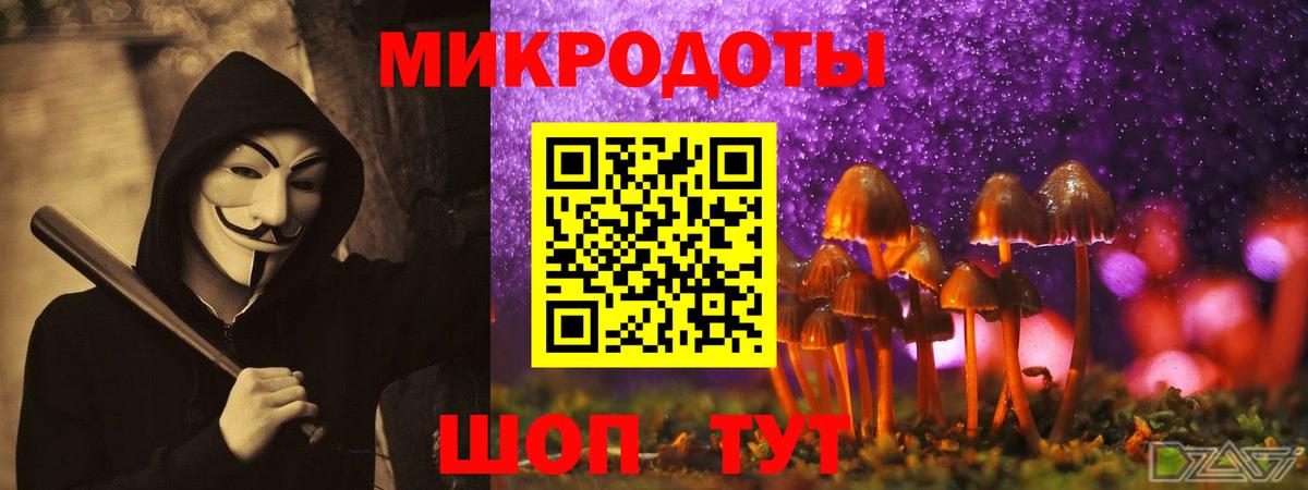 Псилоцибиновые грибы прущие грибы Лангепас